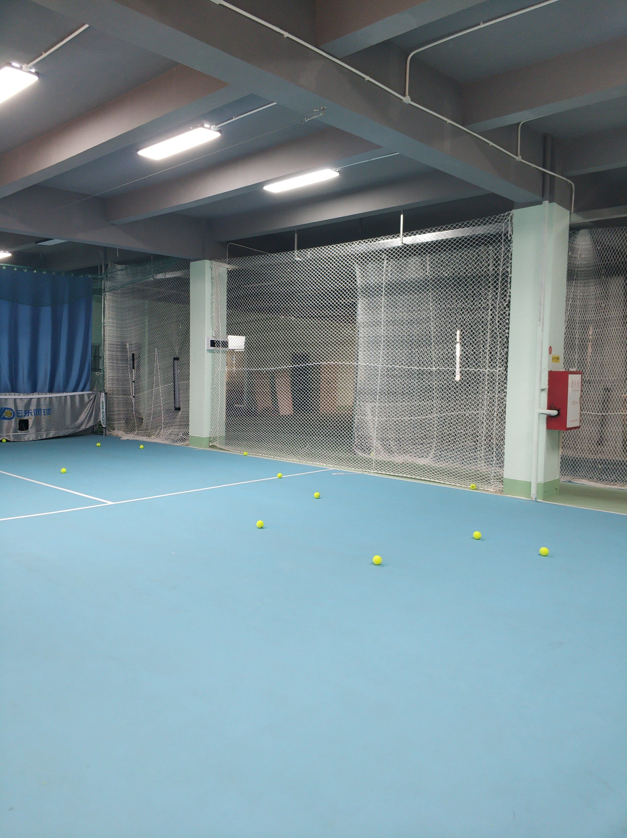 但市场规模 但市场规模